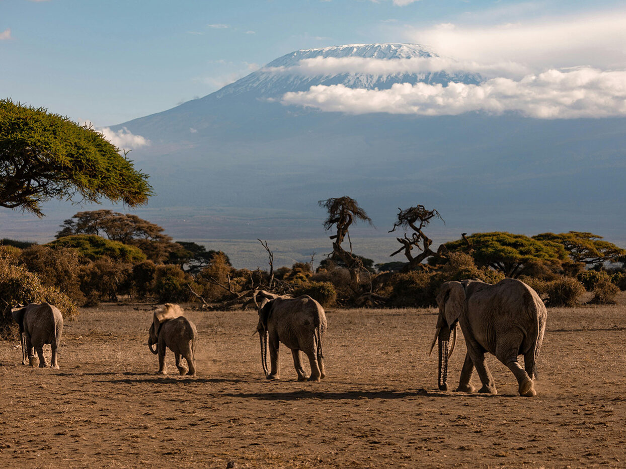 pexels-laukevtravel-26924191