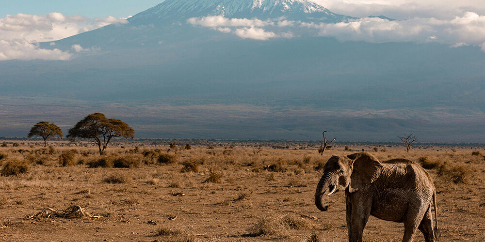 pexels-laukevtravel-26924196 kopia